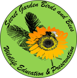 Secret Garden Birds and Bees