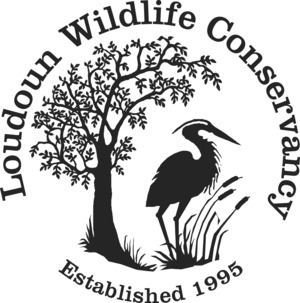 Loudoun Wildlife Conservancy