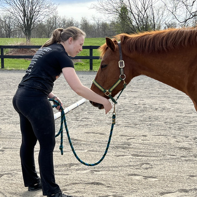 Photo Credit Sharon Hallman Photography - Learning, growing, and changing with horses