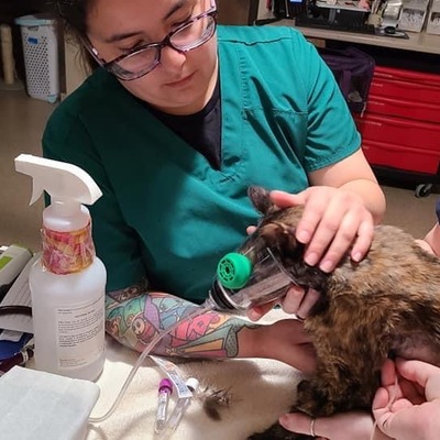 TCAL providing medical care