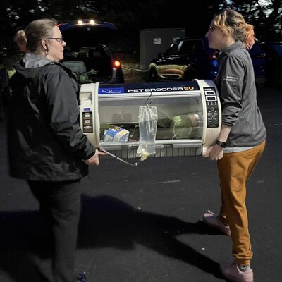 Dr. Werden and Kristina taking Bulbusaur home in an incubator