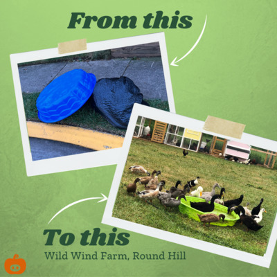 Kiddie pools were added in 2021 thanks to Wild Wind Farm in Round Hill - Thanks Jill!
