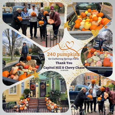 DC Collects in support of Gathering Springs Farm