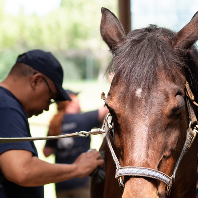 Photo Credit Sharon Hallman Photography - Our volunteers in action!