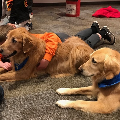 Dogs help combat stress and anxiety at the FORT