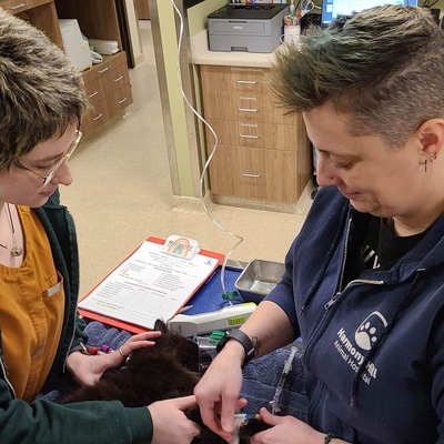 Saving another cat!