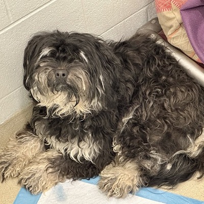 Jax Before