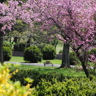 Morven Park's beautiful 1,000 acres is open and free to the public every day.
