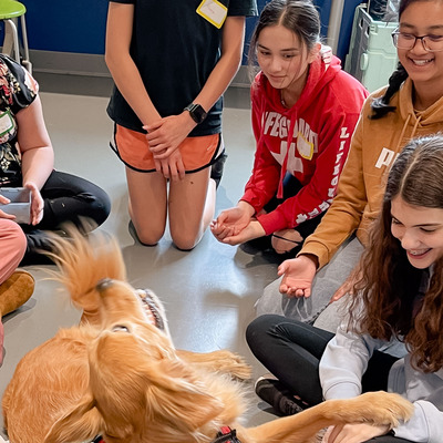 Connecting with dogs calms the senses and relieves stress