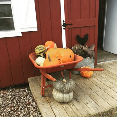 Long Stone Farm - Lovettsville - 2017 our 1st year!