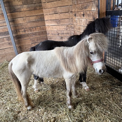 April when she arrived very thin