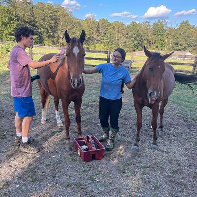 Elu and Theo getting a nice grooming by our dedicated volunteers.