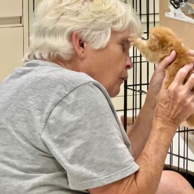 One of our volunteers with a kitten!