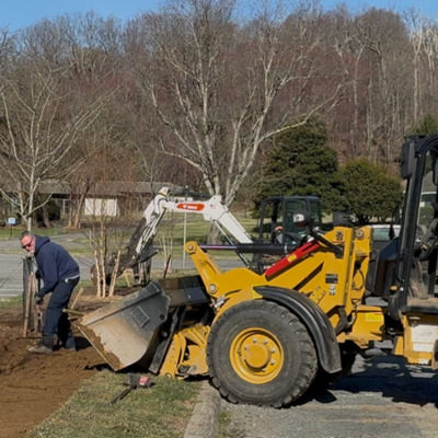 Grounds improvement!