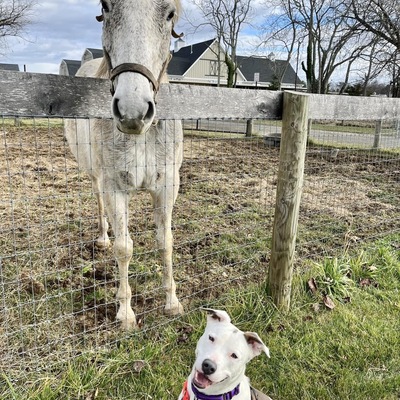 Besties