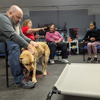 Therapy Dogs Training with Community Volunteers