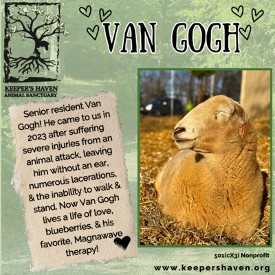 Sanctuary resident, Van Gogh.