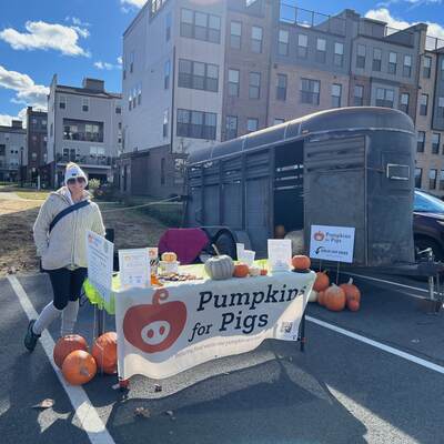 145 pumpkins and gourds collected at Eat LoCo market to benefit Spring House Farm. 2024