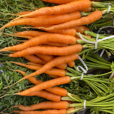 Organic Carrots for the Food Pantry!!! Yummy!!!!