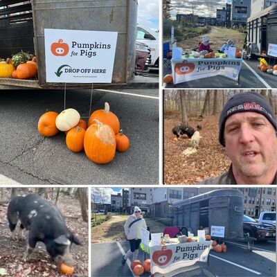 Collecting at EatLoCo to benefit Spring House Farm
