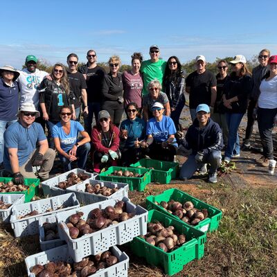 Volunteer group with their day's harvest
