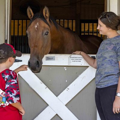 Our herd always puts a smile on the faces of staff and visitors