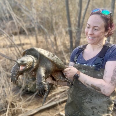 Snapping Turtle