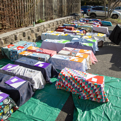 TNR spay/neuter clinic for more than 75 community cats!