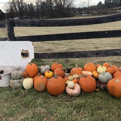 Beagle Run Farm - Purcellville, VA 2021