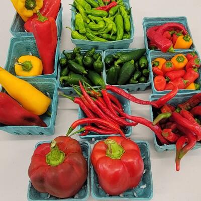 Colorful Assorted Peppers
