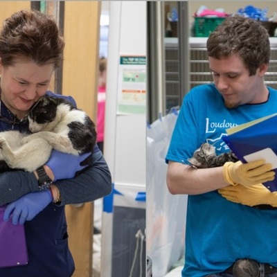These community cats might never get another hug so our volunteers give as much love as they can!