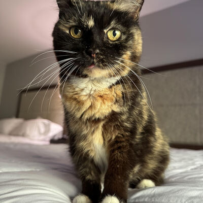 Sammy