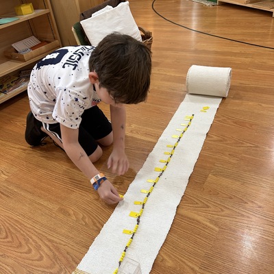 Number Chains are used in the Children's House to aid children in understanding number sequences.