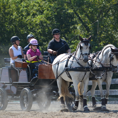 Carriage driving is helpful for participants who cannot ride due to mobility issues or other restrictions.
