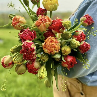 Legacy Farms Florals!