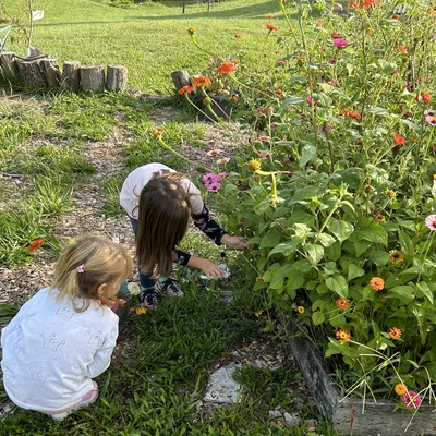Elementary students tending to the luscious garden they care for in the spring & summer months!