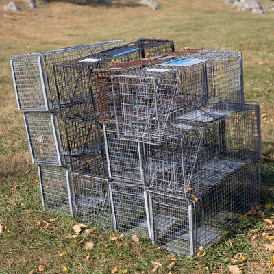 Just another day at the office getting ready to TNR a colony!