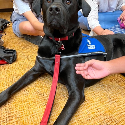 Therapy Dog Visit
