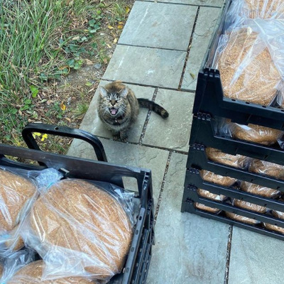 Hazel helping load the food up to take to Lucketts