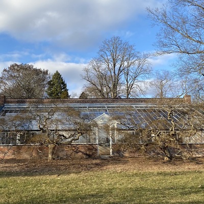 The second oldest greenhouse in the country!