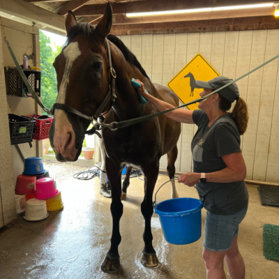 Frankie getting a bath!