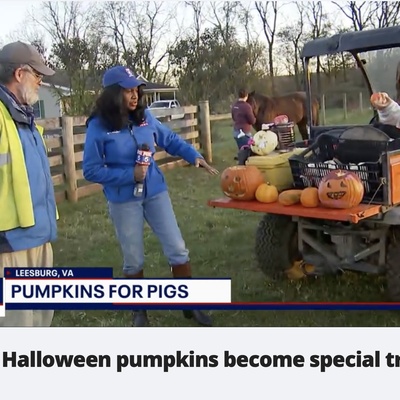 Mill Road Farm - Leesburg - Chris Hatch - Fox 5 2021 Interview - Amazing support since 2017!