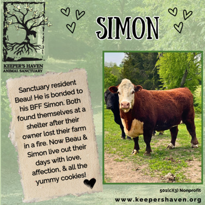 Sanctuary resident, Simon.