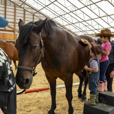 Groundwork and grooming helps students form a bond with their equine partner