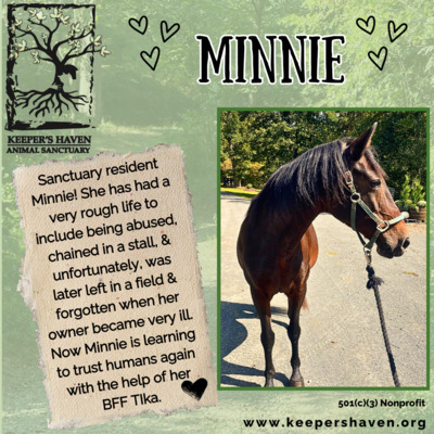 Sanctuary resident, Minnie.