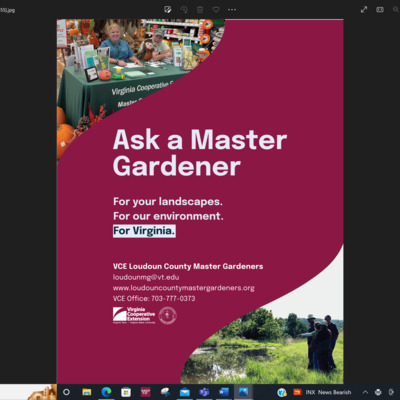 Ask a Master Gardener!
