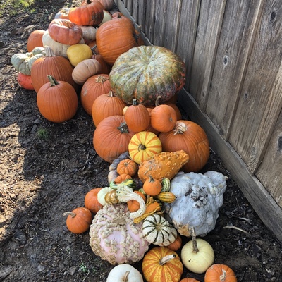 Sylvanside Farm - Purcellville - 2018