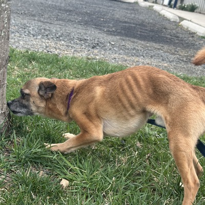 Osito before diagnoses of IBS