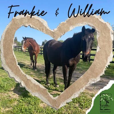 Frankie and William