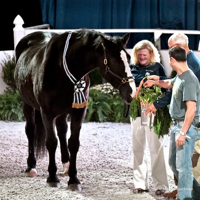 PC Washington International Horse Show - Admiral receives Klinger Award for work with the military